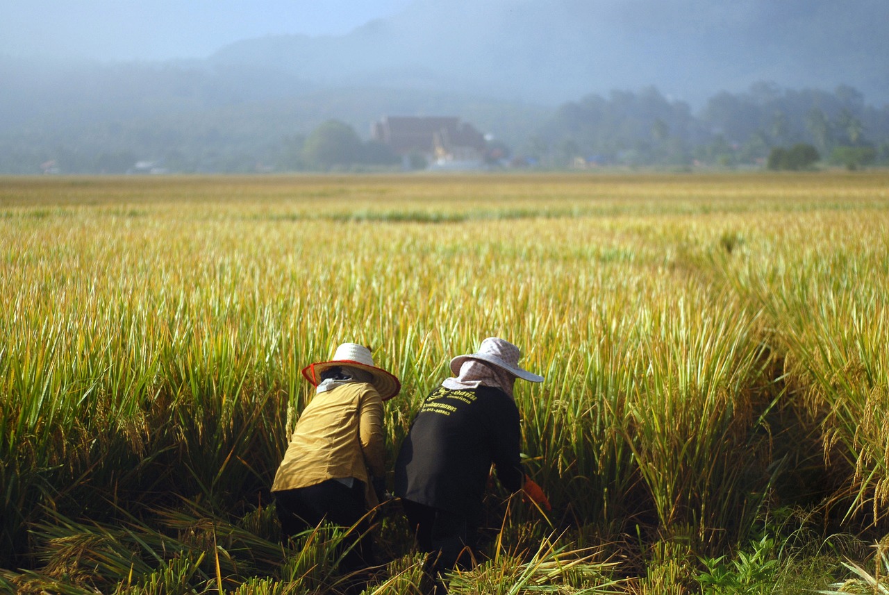 The Role of Seasonal Crops in Eco-Friendly Farming